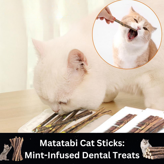 Matatabi Cat Sticks: Mint-Infused Dental Treats