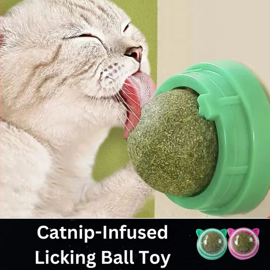 Catnip-Infused Licking Ball Toy for Cats