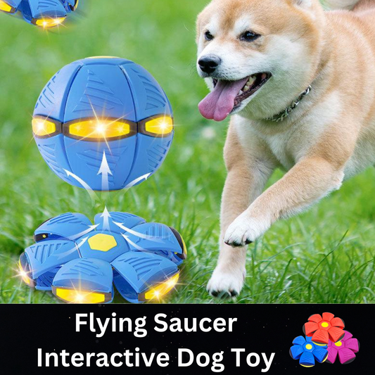 Flying Saucer Interactive Dog Toy for Fun Outdoor Training