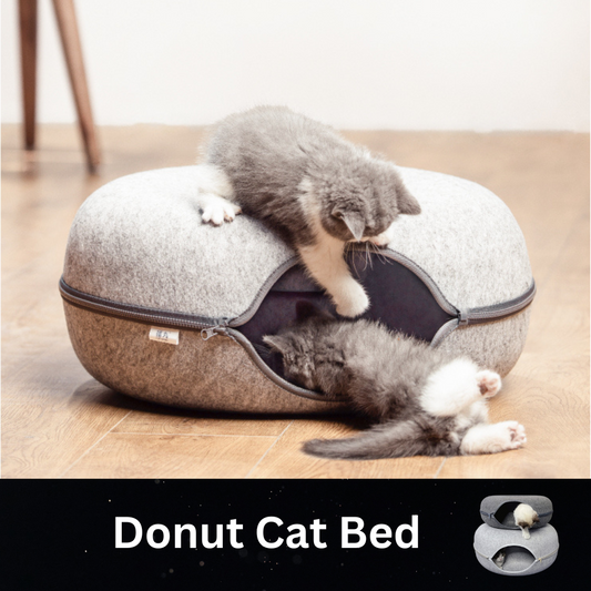 Donut Cat Bed and Interactive Tunnel Toy