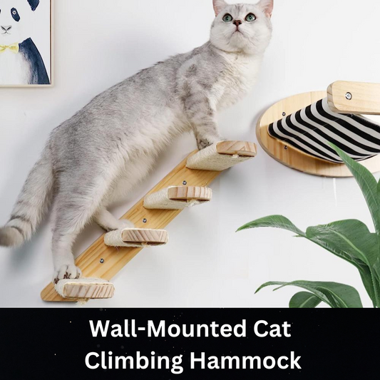 Wall-Mounted Cat Climbing Hammock: Wooden Furniture for Cats to Play and Sleep